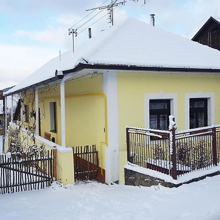 Lately Renovated Country House Trenčín エクステリア 写真