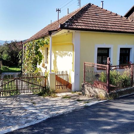 Lately Renovated Country House Trenčín エクステリア 写真