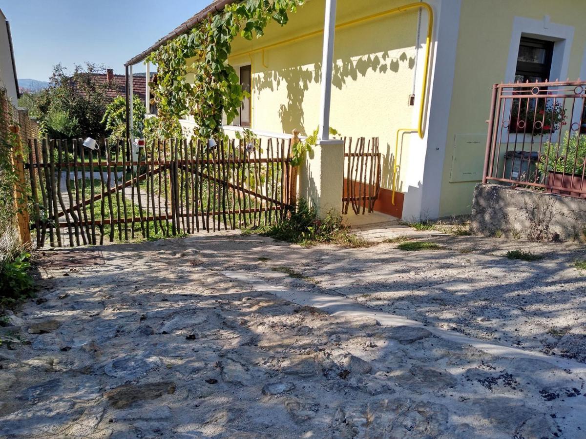 Lately Renovated Country House Trenčín エクステリア 写真