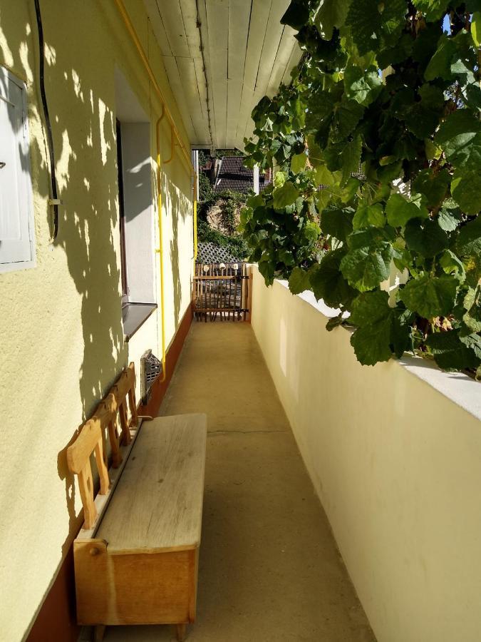 Lately Renovated Country House Trenčín エクステリア 写真