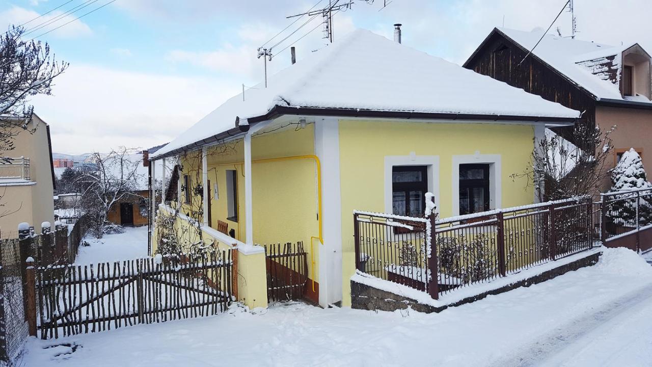 Lately Renovated Country House Trenčín エクステリア 写真