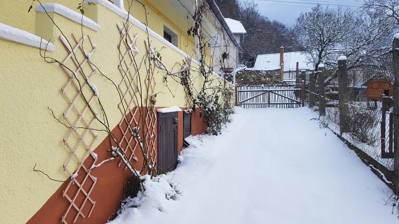 Lately Renovated Country House Trenčín エクステリア 写真
