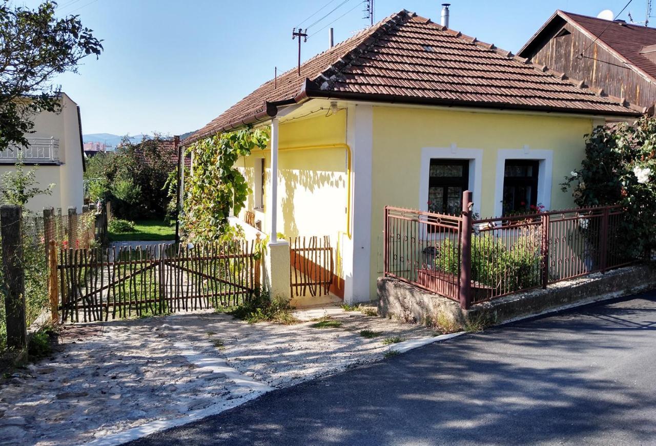 Lately Renovated Country House Trenčín エクステリア 写真